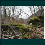 Rheinsteig II 012.jpg